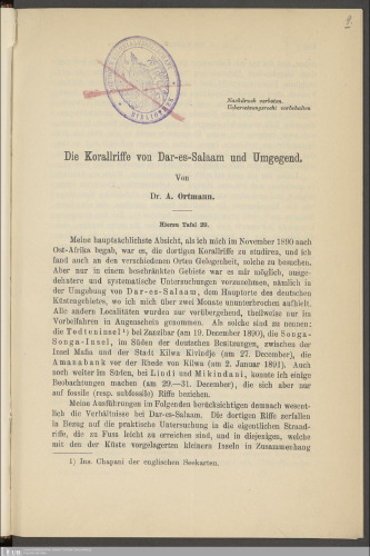 Die Korallriffe von Dar-es-Salaam [Daressalam] und Umgegend