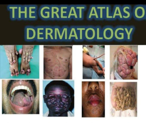 E3 great atlas of dermatology indexed 2023